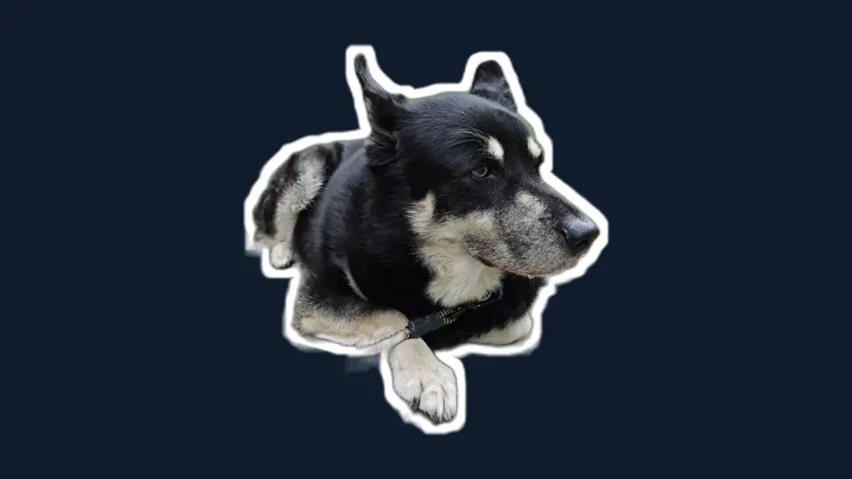 A cut-out subject with a thick white contour, sticker style