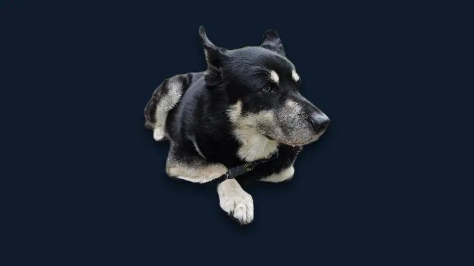A cut-out subject casting a soft drop shadow