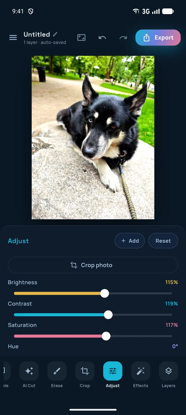Adjust panel with brightness, contrast, saturation and hue sliders