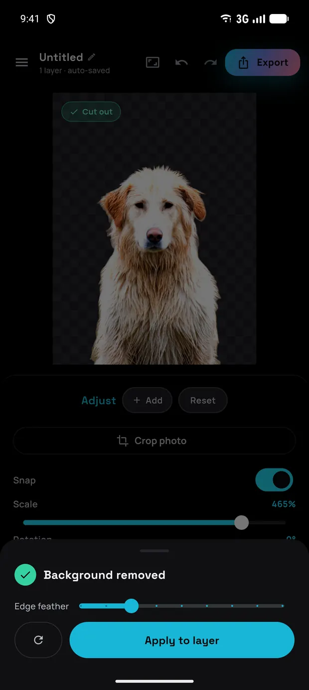 A finished AI cut-out on a transparent canvas, with the Snap toggle and Scale slider in the Adjust panel below