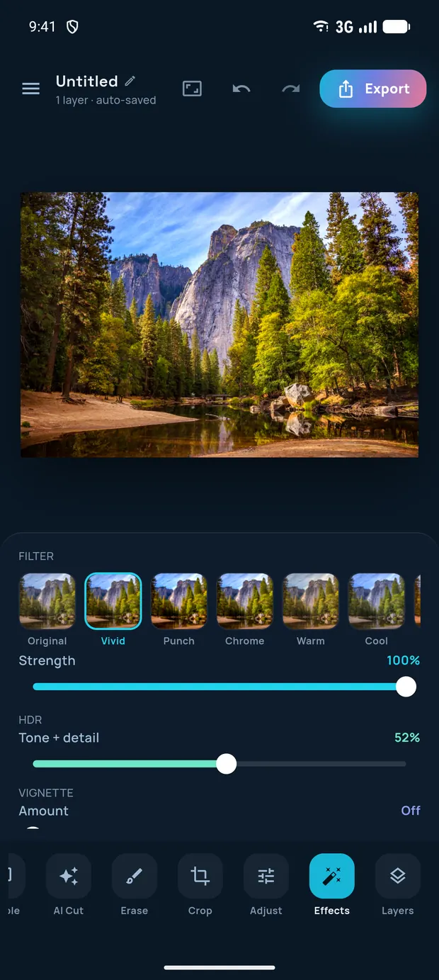 Effects panel with a live filter strip, the Vivid look selected, a strength slider and an HDR slider