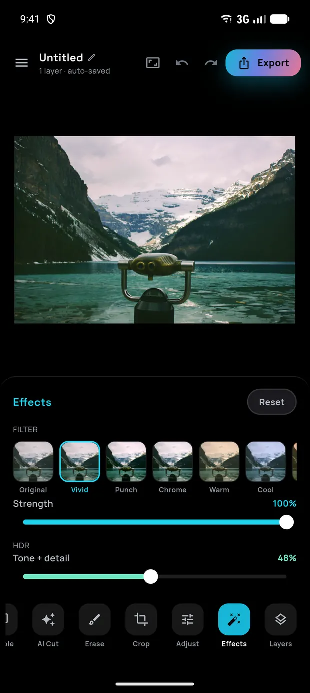 Effects panel with a live filter strip, the Vivid look selected, a strength slider and an HDR slider