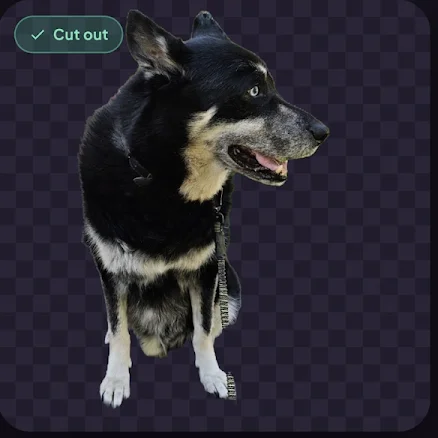 The dog lifted off the park by the on-device AI, on a transparent checkerboard